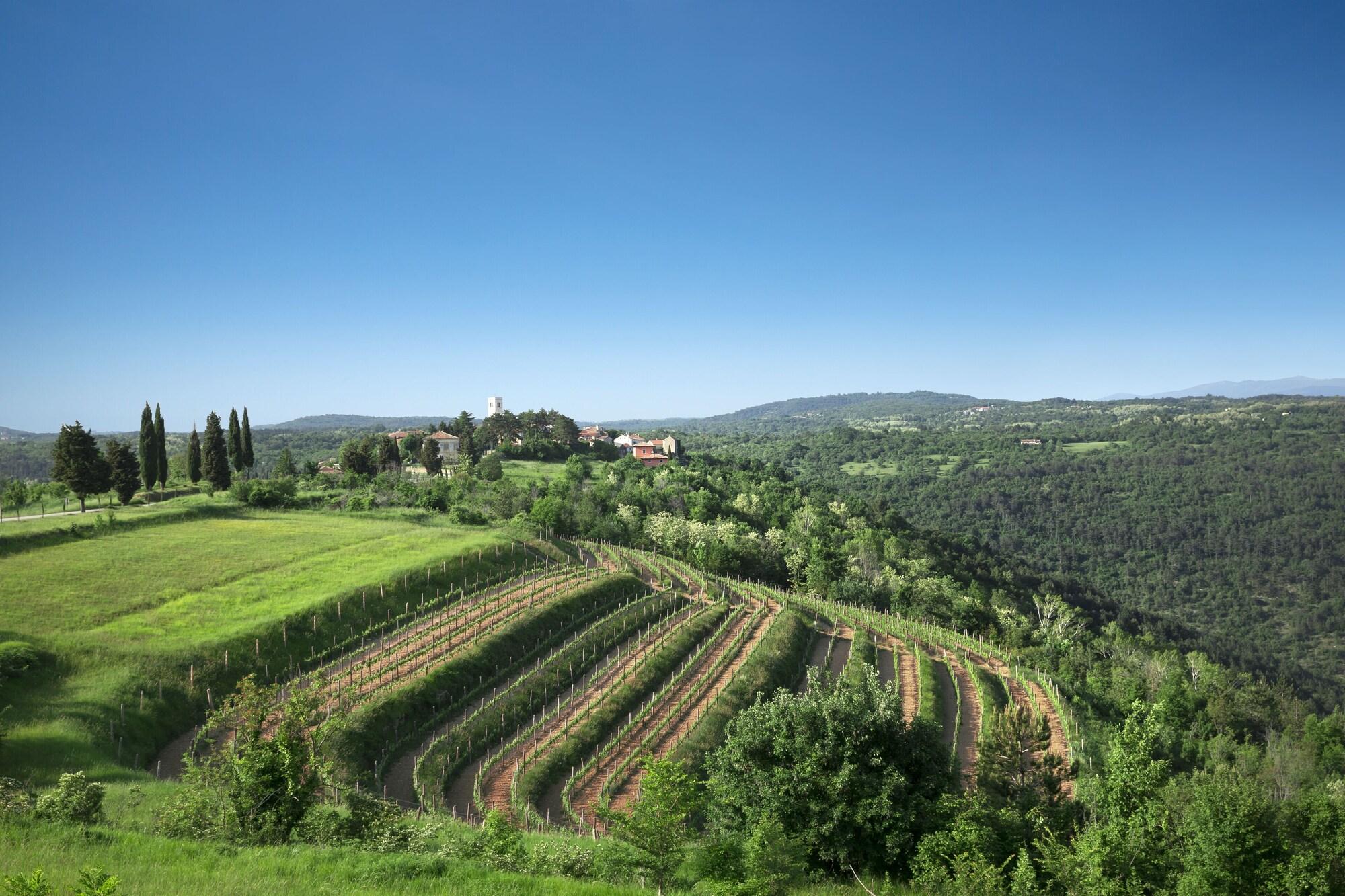Palazzo Angelica B&B Adults Only Oprtalj Bagian luar foto