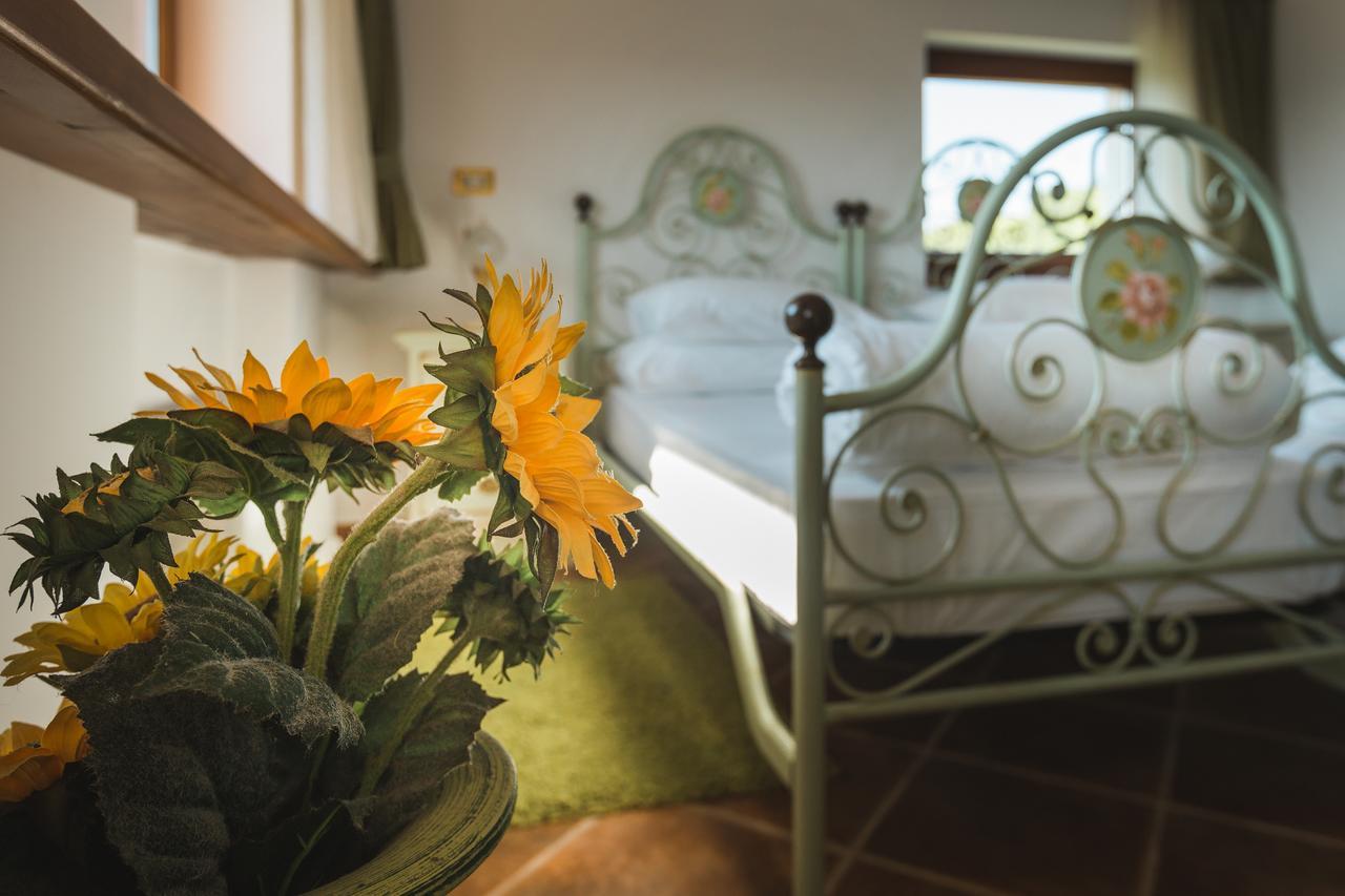 Palazzo Angelica B&B Adults Only Oprtalj Bagian luar foto